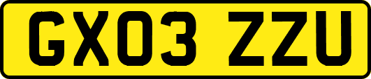 GX03ZZU