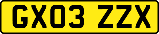 GX03ZZX
