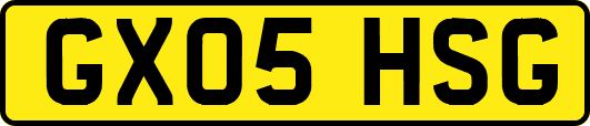 GX05HSG