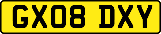 GX08DXY