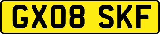 GX08SKF