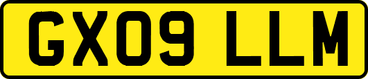 GX09LLM