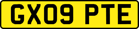 GX09PTE