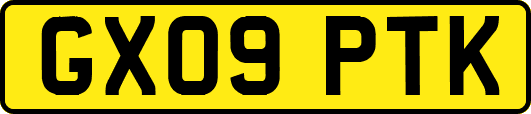 GX09PTK