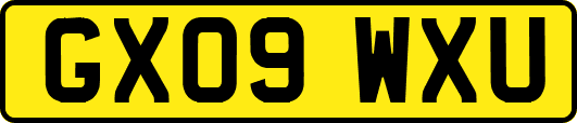 GX09WXU
