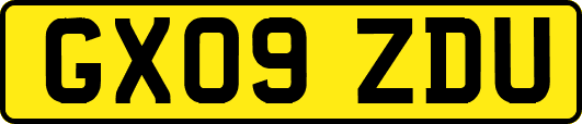 GX09ZDU