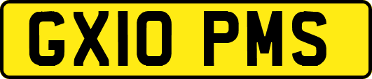 GX10PMS