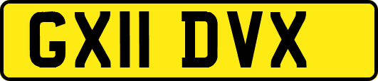 GX11DVX