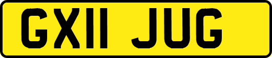 GX11JUG
