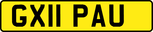 GX11PAU
