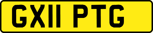 GX11PTG