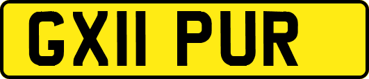 GX11PUR