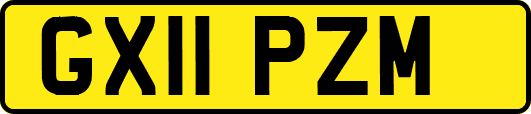 GX11PZM