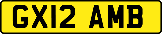 GX12AMB
