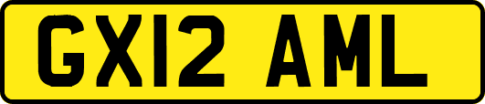 GX12AML