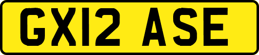 GX12ASE