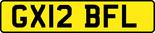 GX12BFL