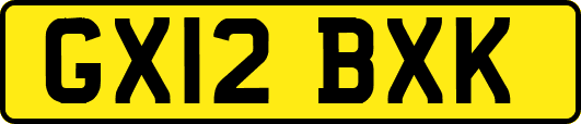 GX12BXK