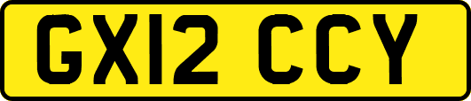 GX12CCY