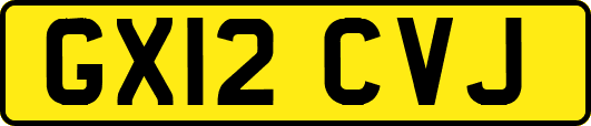 GX12CVJ