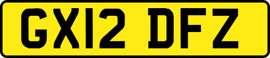 GX12DFZ