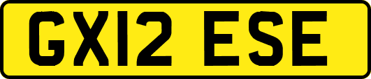 GX12ESE
