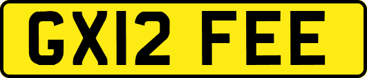 GX12FEE