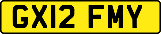GX12FMY
