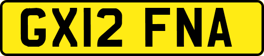 GX12FNA