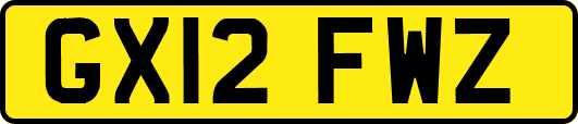GX12FWZ