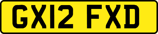 GX12FXD