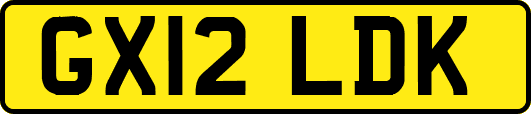 GX12LDK