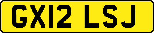 GX12LSJ