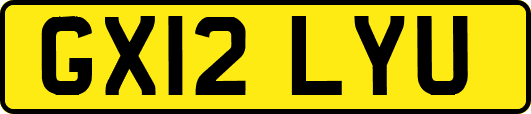 GX12LYU