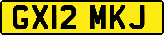 GX12MKJ