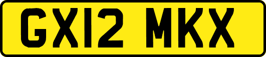 GX12MKX