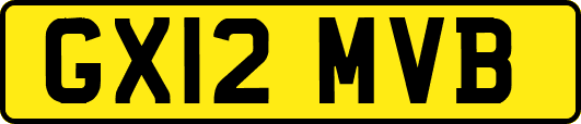 GX12MVB