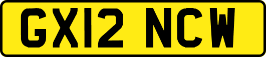GX12NCW
