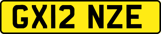 GX12NZE