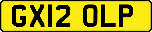GX12OLP