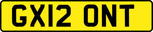 GX12ONT