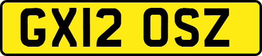 GX12OSZ