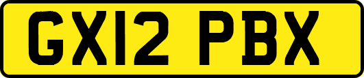 GX12PBX