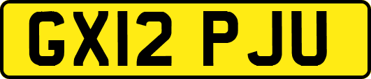 GX12PJU