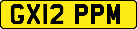 GX12PPM