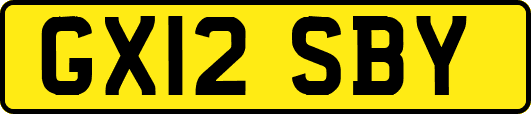 GX12SBY
