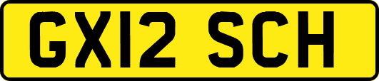 GX12SCH