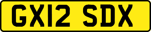 GX12SDX
