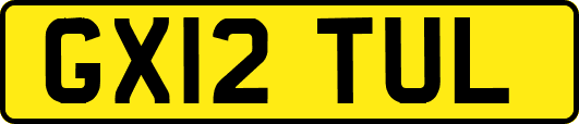 GX12TUL