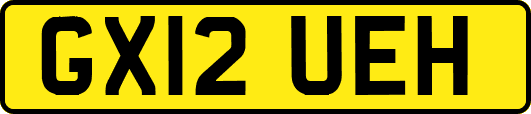 GX12UEH